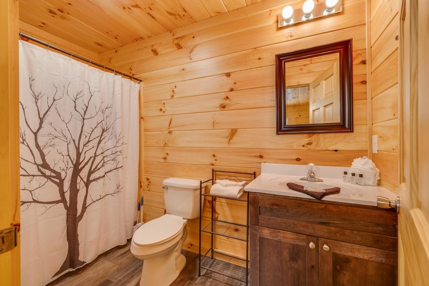 Вілла Bear Clubhouse Hot Tub, 1Mile From The Parkway, 900 In Free Tickets! Піджен-Фордж Екстер'єр фото